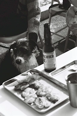 A black and white image showing a dog near a table with a bottle, food on a tray, and a person in a sweater in Bend, Oregon