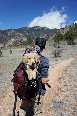 A person hikes on a trail with a puppy peeking out from their backpack, surrounded by mountains and trees under a blue sky in Bend Oregon